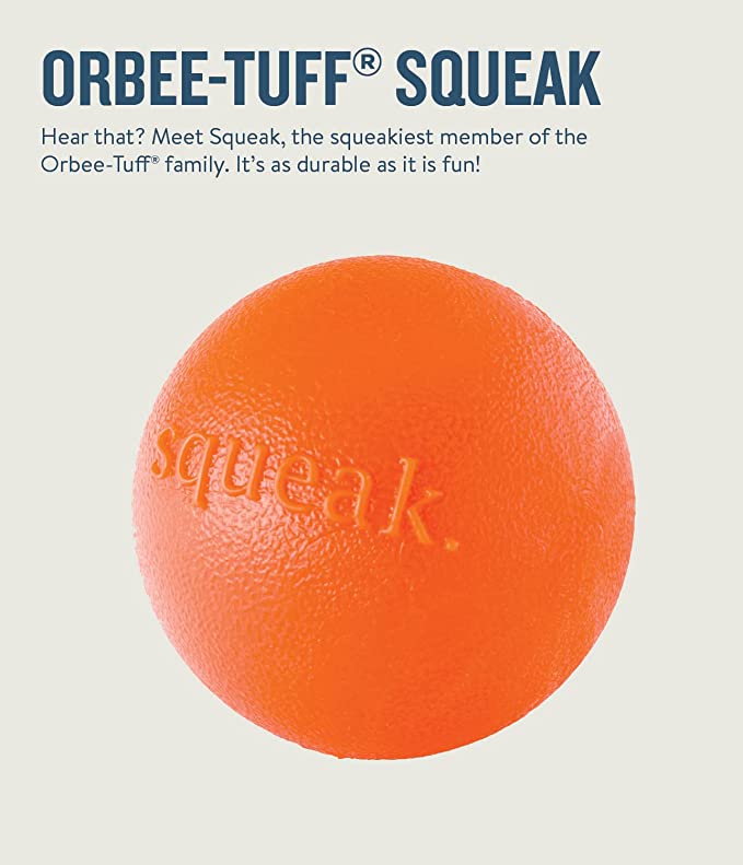 Petstages Orbee Tuff Squeaky Ball Dog Toy 3inch