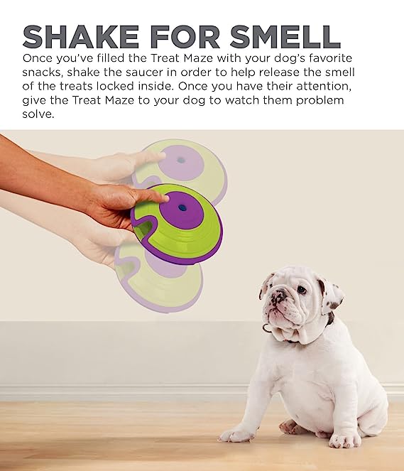 Outward Hound Nina Ottosson Treat Maze Dog Puzzle Toy