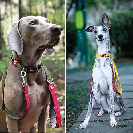 Gigwi Classic Line Dog Leash Soft Mesh Padding with Reflective 25mmx120cm XL