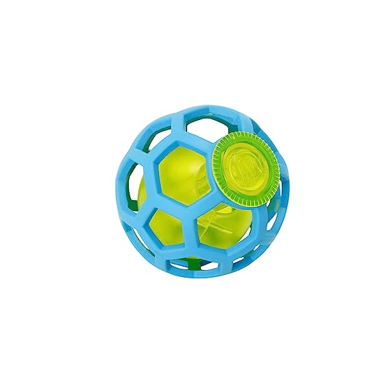 Petmate JW Hole-ee Treat Ball Toy For Dog