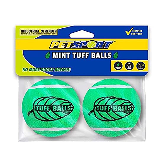 Petsport Tuff Mint Balls Toy For Dogs 2.5" 2pk