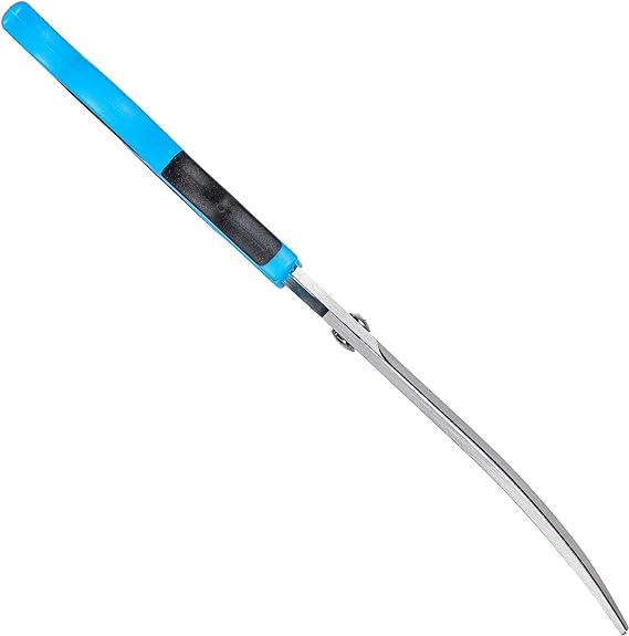 Groom Professional Medio Curved Scissor For Dog 8inch