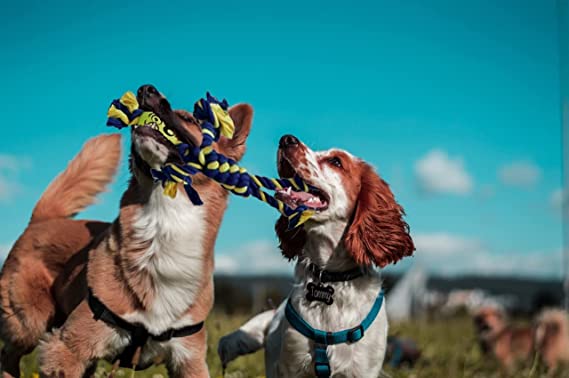 Petsport Braided Rope Man With Tennis Ball