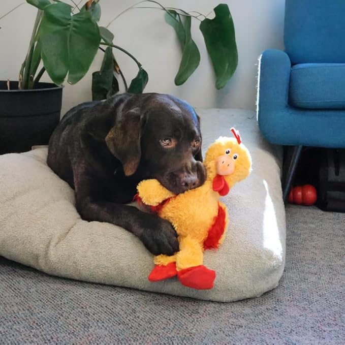 Kong Knots Chicken Dog Toy M/L