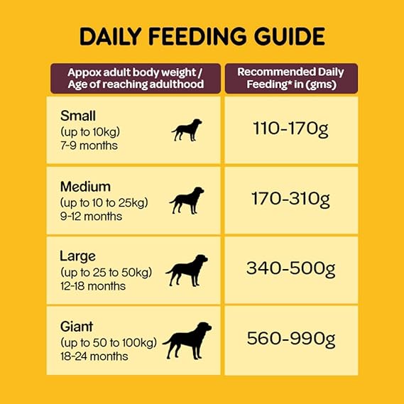 Pedigree Adult Dry Dog Food Meat & Rice 10kg