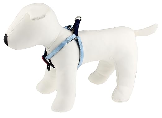 Gigwi Premium Line Durable H-Harness for Dogs Reflective Material Blue 10mmx20-40cm (Small)