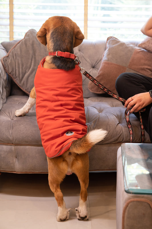 Pet Snugs Water-Resistant Top & Soft Cotton Lining Jacket For Your Furry Friend Rust Red