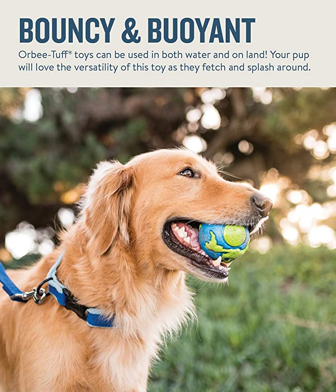 Petstages Orbee Tuff Planet Treat Dispenser Ball For Dogs