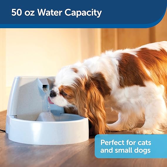 Petsafe Original Drinkwell Mini Fountain For Dogs & Cats