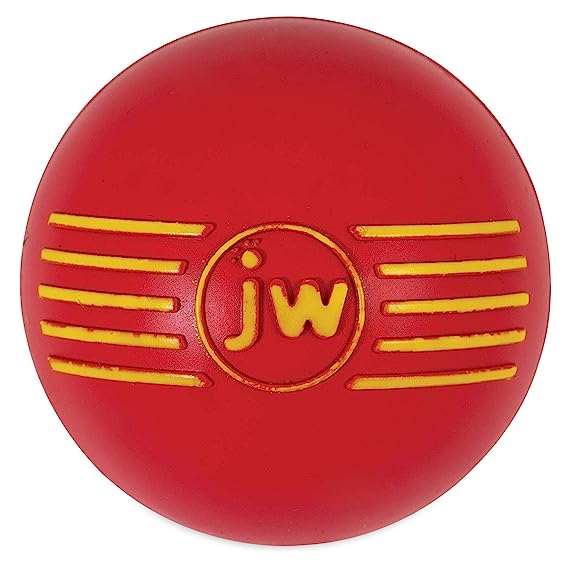 Petmate JW iSqueak Toy For Dogs Medium