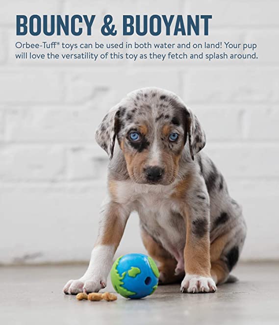 Petstages Orbee Tuff Planet Treat Dispenser Ball For Dogs