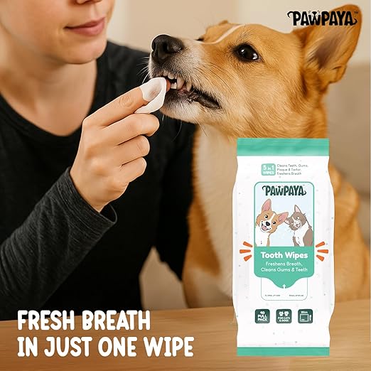 Pawpaya Tooth Wipe For Dogs & Cats 40 Pull
