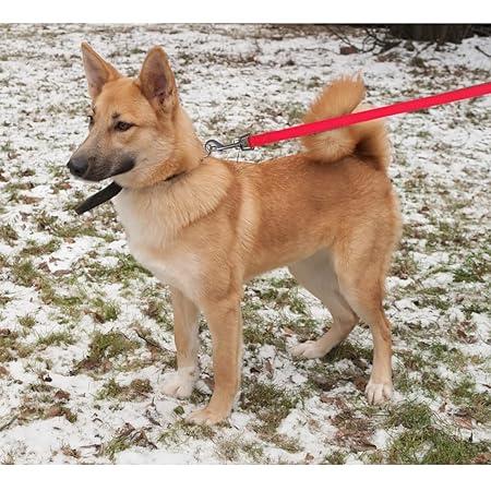 Trixie Classic Lead Red L/XL 1m-25mm