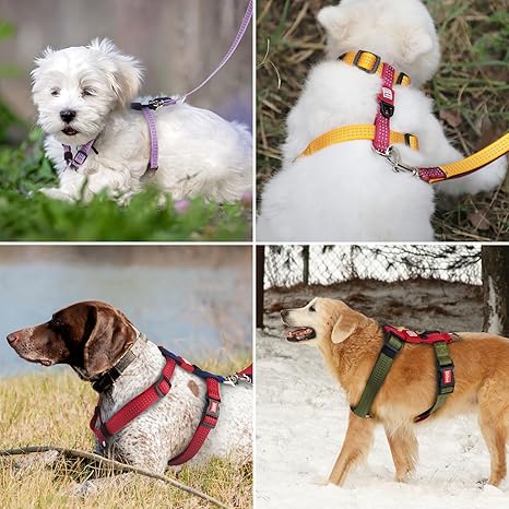 Gigwi Classic Line Secure H-Harness Reflective Material Breathable & Lightweight Harness For Dogs 15mmx30-50cm Yellow (Medium)