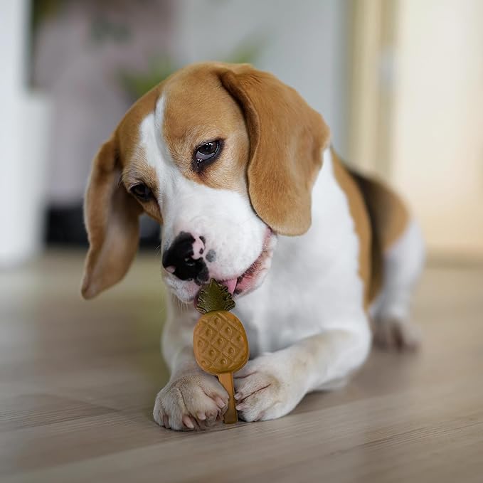 Pup Ice Ready to Freeze Fruity Lollies Adult Small Dog Treat Pineapple Flavor