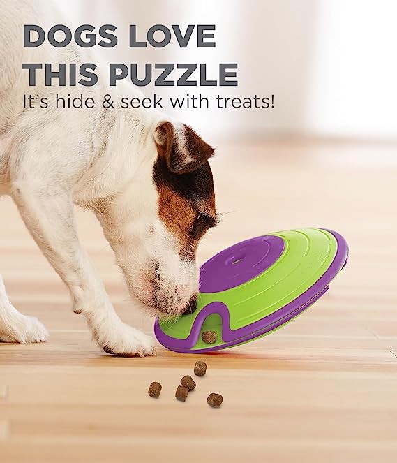 Outward Hound Nina Ottosson Treat Maze Dog Puzzle Toy
