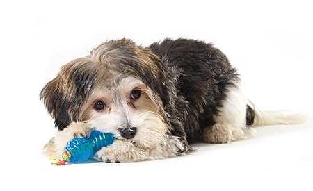 Petstages Orka Petite Pair Chew Pine Cone & Bone 13cmx9cm