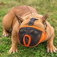 Tails Nation Snout Muzzle For Dog