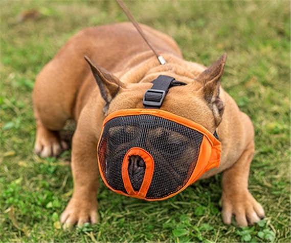 Tails Nation Snout Muzzle For Dog