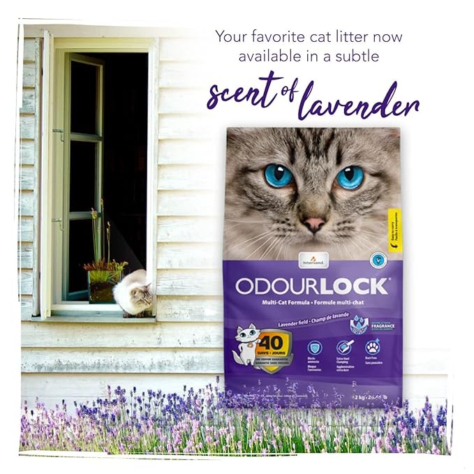 Intersand Odourlock Lavender Field Cat Litter 12 Kg
