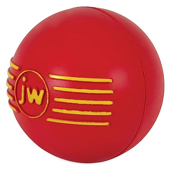 Petmate JW iSqueak Toy For Dogs Medium