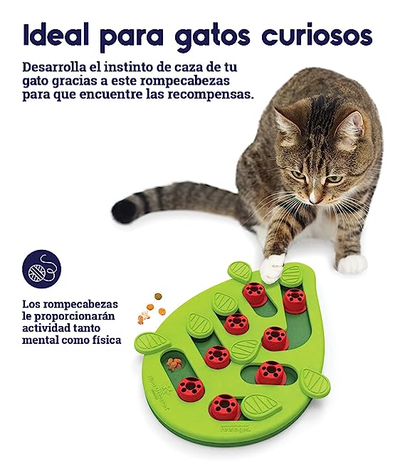 Petstages Bugging Out Puzzle & Play Cat Game Green