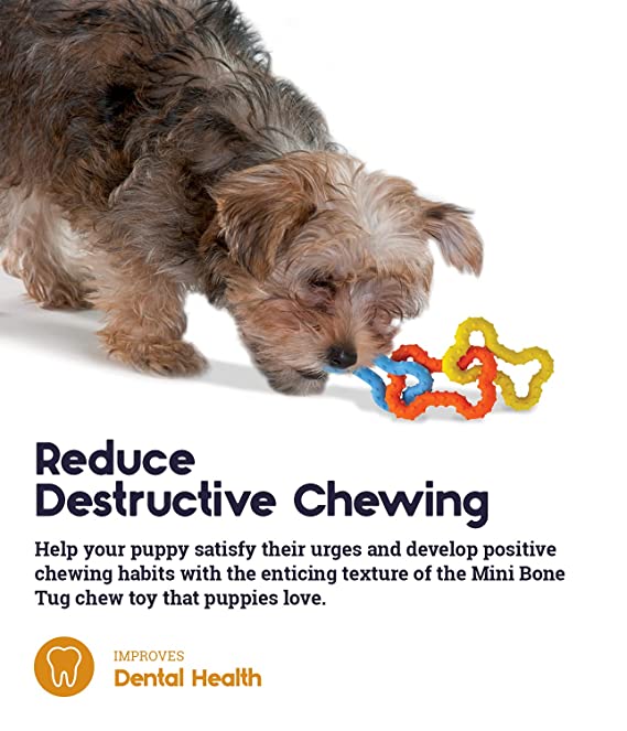 Petstages Mini Bone Tug Toy For Dogs 15cm