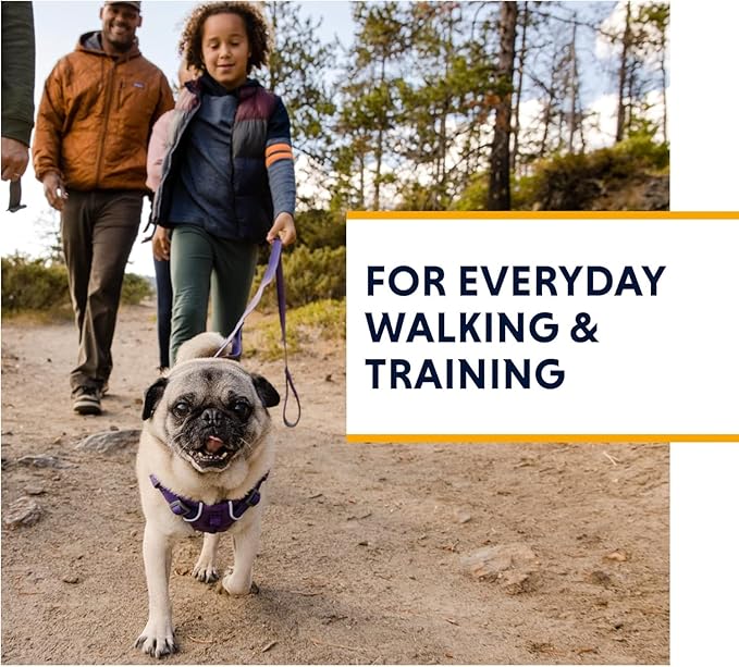 Ruffwear Front Range Dog Padded Harness - Purple Sage