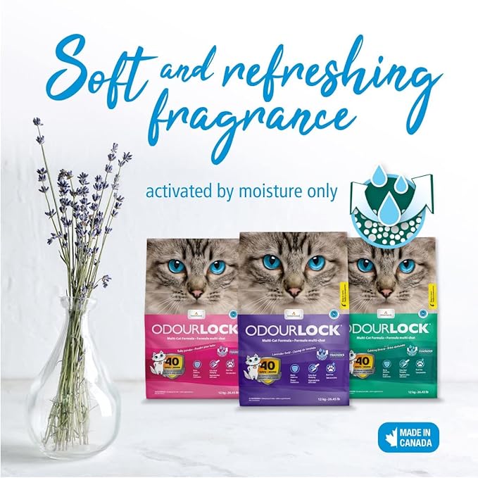 Intersand Odourlock Lavender Field Cat Litter 12 Kg