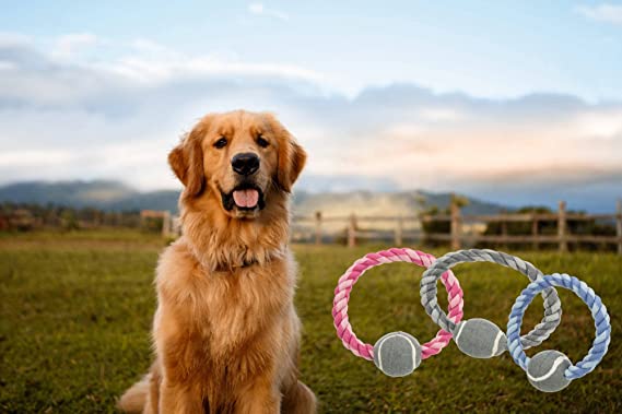 Trixie Ring Rope With Tennis Ball Toy For Dogs 18cm