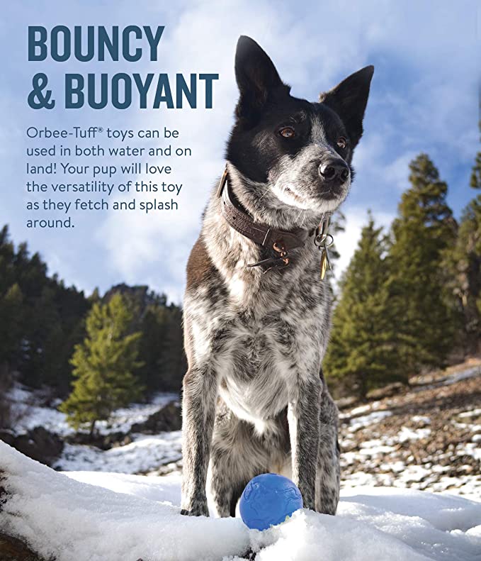 Petstages Orbee Tuff Planet Treat Dispenser Ball Royal Blue For Dogs