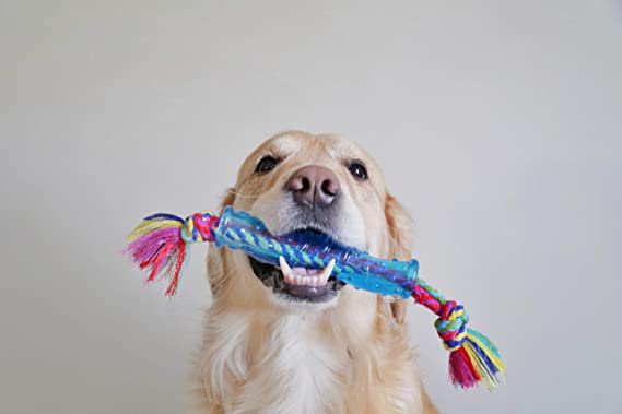 Petstages Orka Stick (Improves Dental Health) Dog Toy 30cm