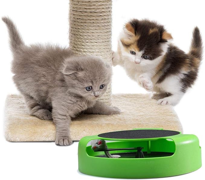 Tails Nation Cat Wheel Single Carpeted Toy For Cat