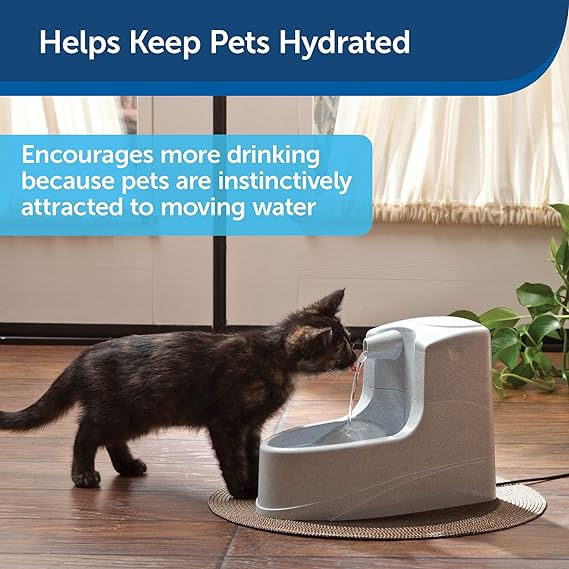 Petsafe Drinkwell Mini Pet Fountain For Dogs & Cats