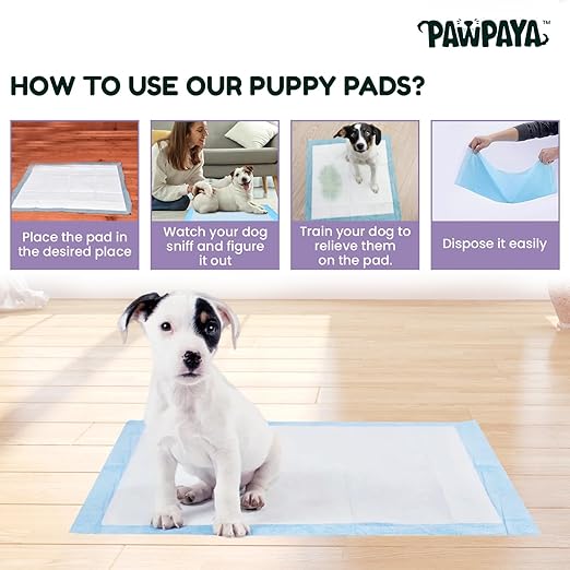 Pawpaya Training Pads Leak-Proof Ultra Absorbent for Dogs and Puppies
