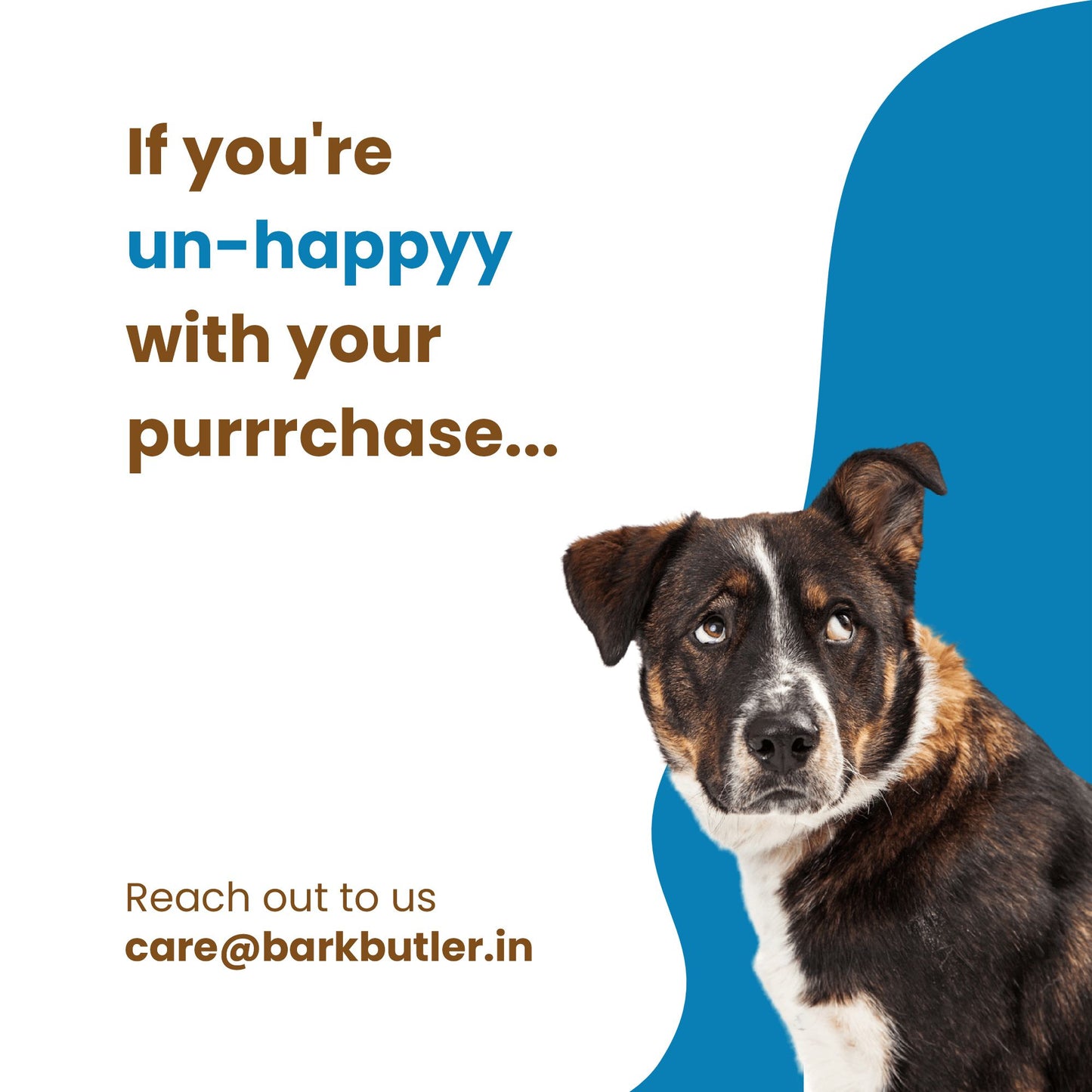 Dogfest Meat sticks lamb Dog Treats 45g