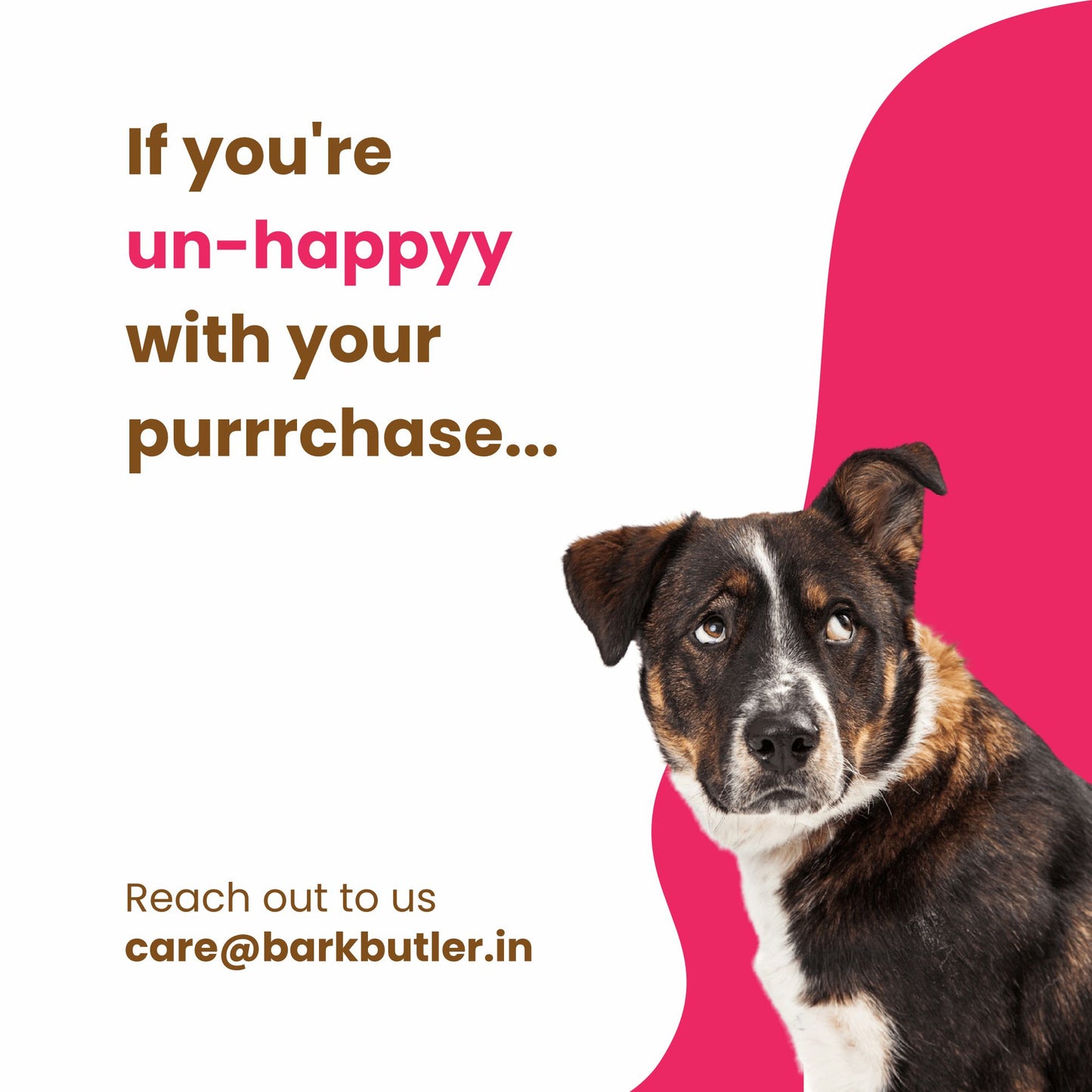 Dogfest Medallions with ostrich Dog Treats 90g