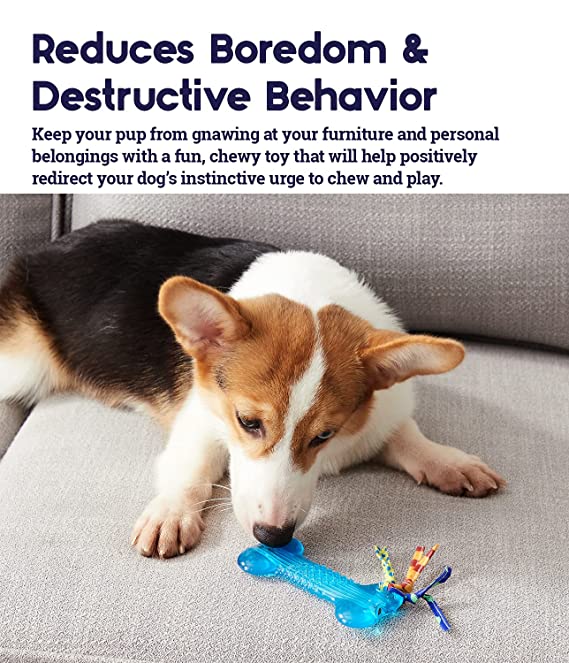 Petstages Orka Bone Dog Toy