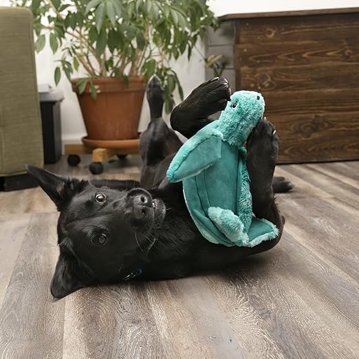 Kong SoftSeas Turtle Squeaker Toy For Dogs Small
