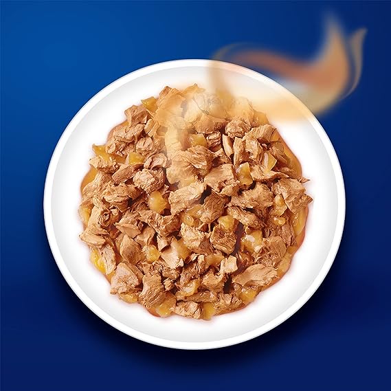 Purina Felix Salmon in Jelly Wet Cat Food 85g