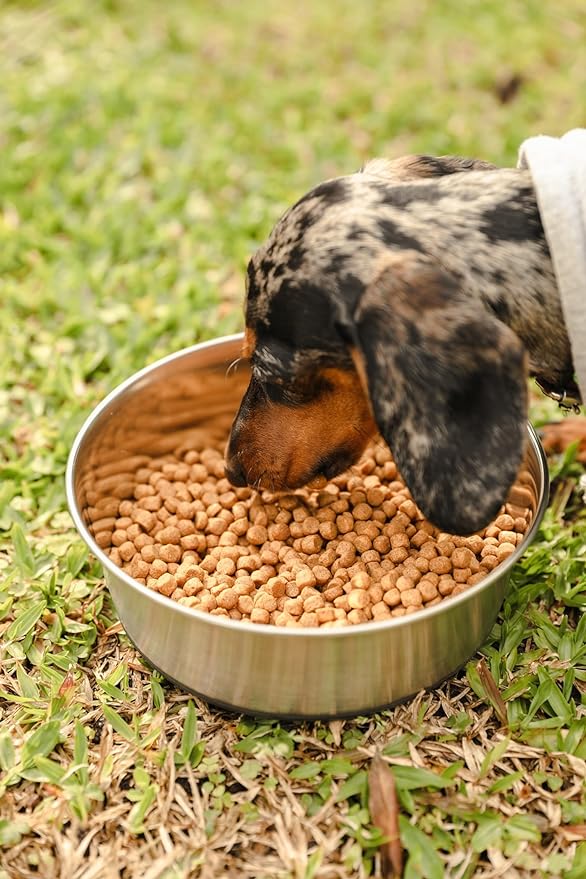 The Green Dog Adult Small Bites 100% Vegan Dog Food Naturally Hypoallergenic Cruelty Free & Gluten Free Dog Dry Food 3kg