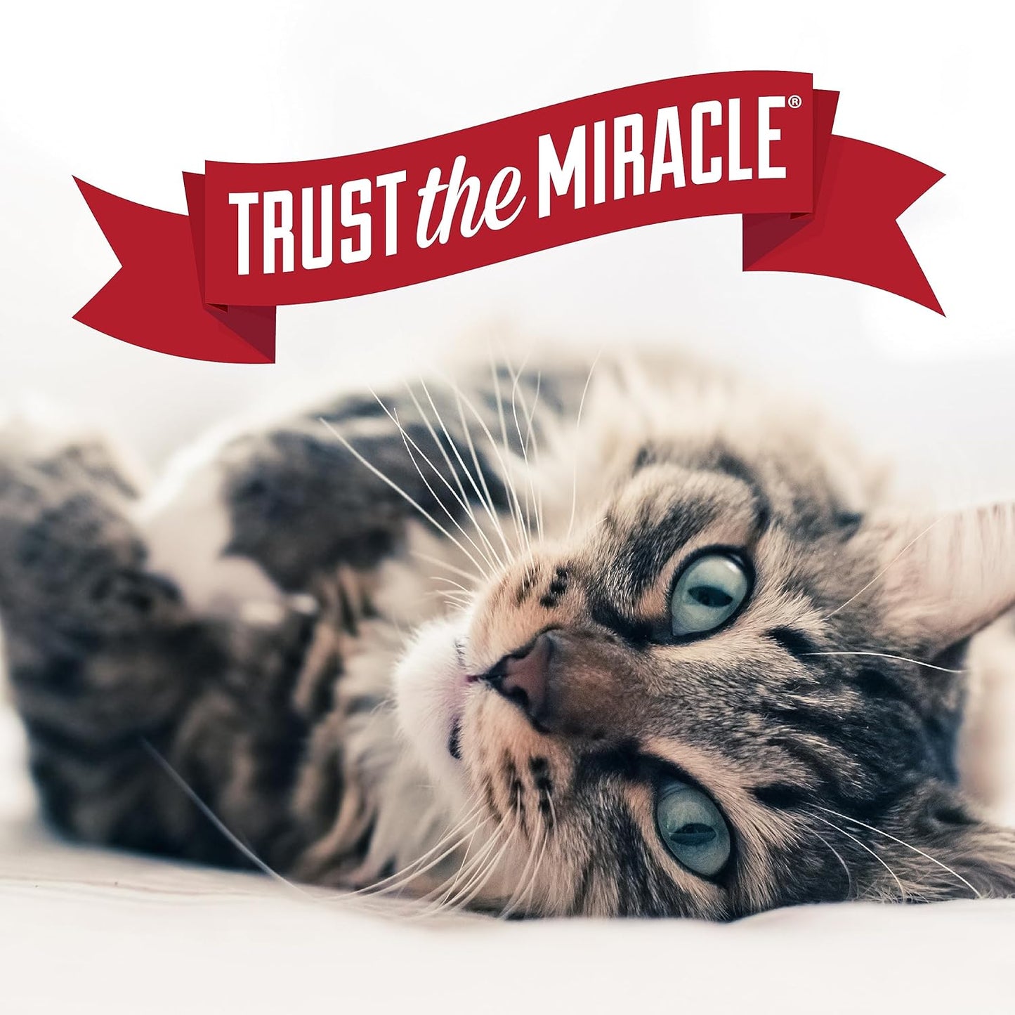 Nature's Miracle Air Care Deodorizer Removes Tough Dog and Cat Odor 709ml