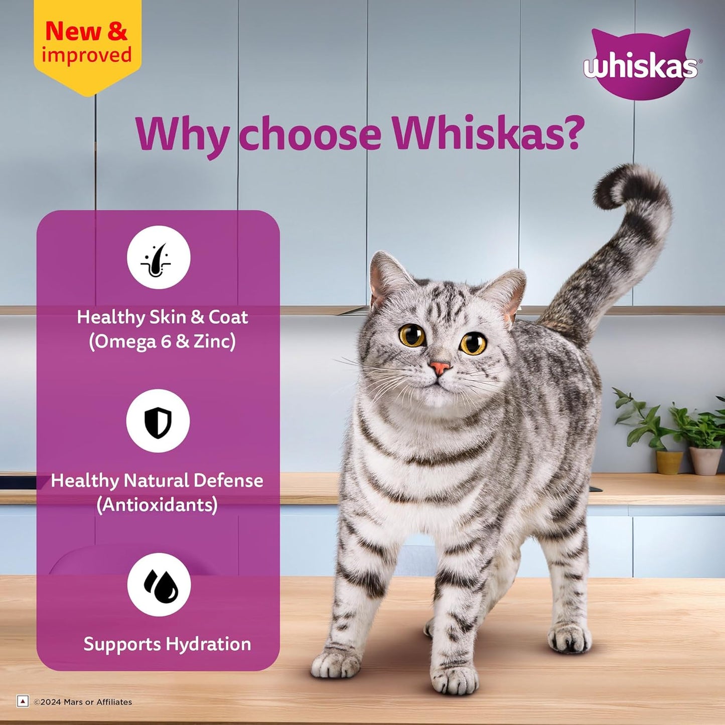 Whiskas Adult (1+ year) Tuna in Jelly Wet Cat Food 80g