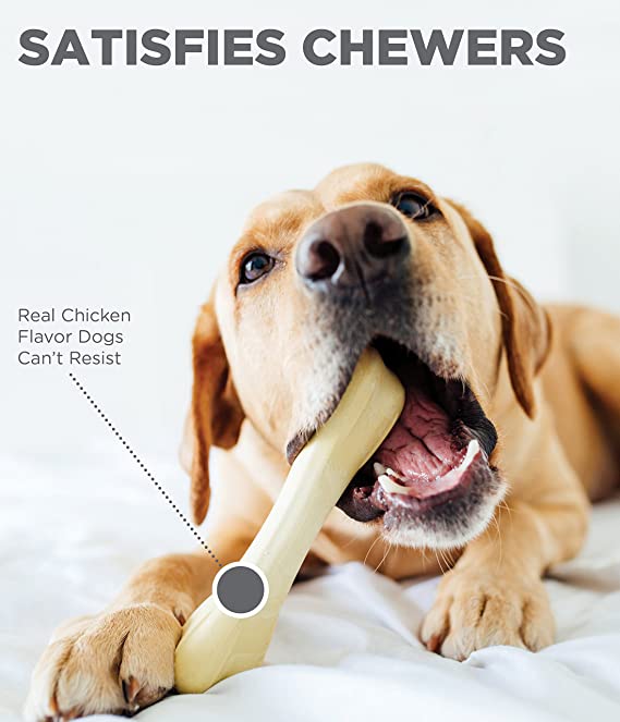 Petstages Chick a Bone Chicken Flavor Chew Toy For Dog