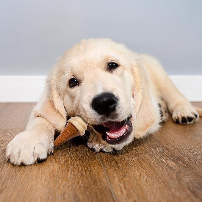 Pup Ice Ready to Freeze Waffle Cones Adult Medium Dog Treat Vanilla & Peanut Butter Flavor