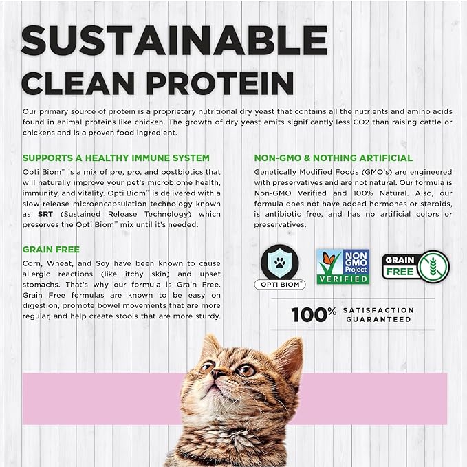 Nature's Hug Kitten Growth Vegan  & Plant Based | Vegetarian & Sustainable Based Cat Dry Food 1.81kg