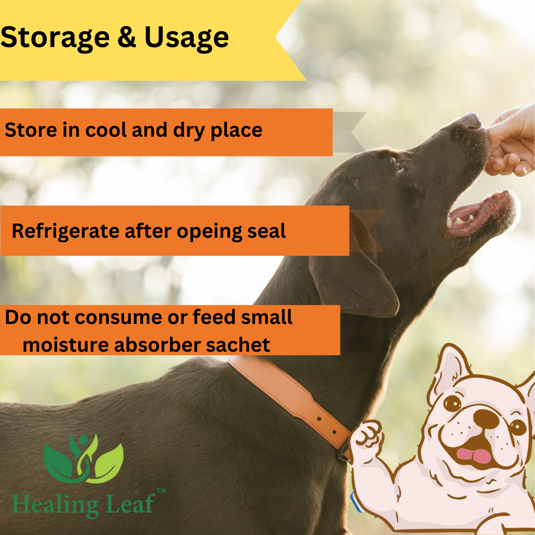 Healing Leaf Hemp Seed Vegetarian & Sustainable Dog Treat with Pumpkin & Peanut Butter 100gm