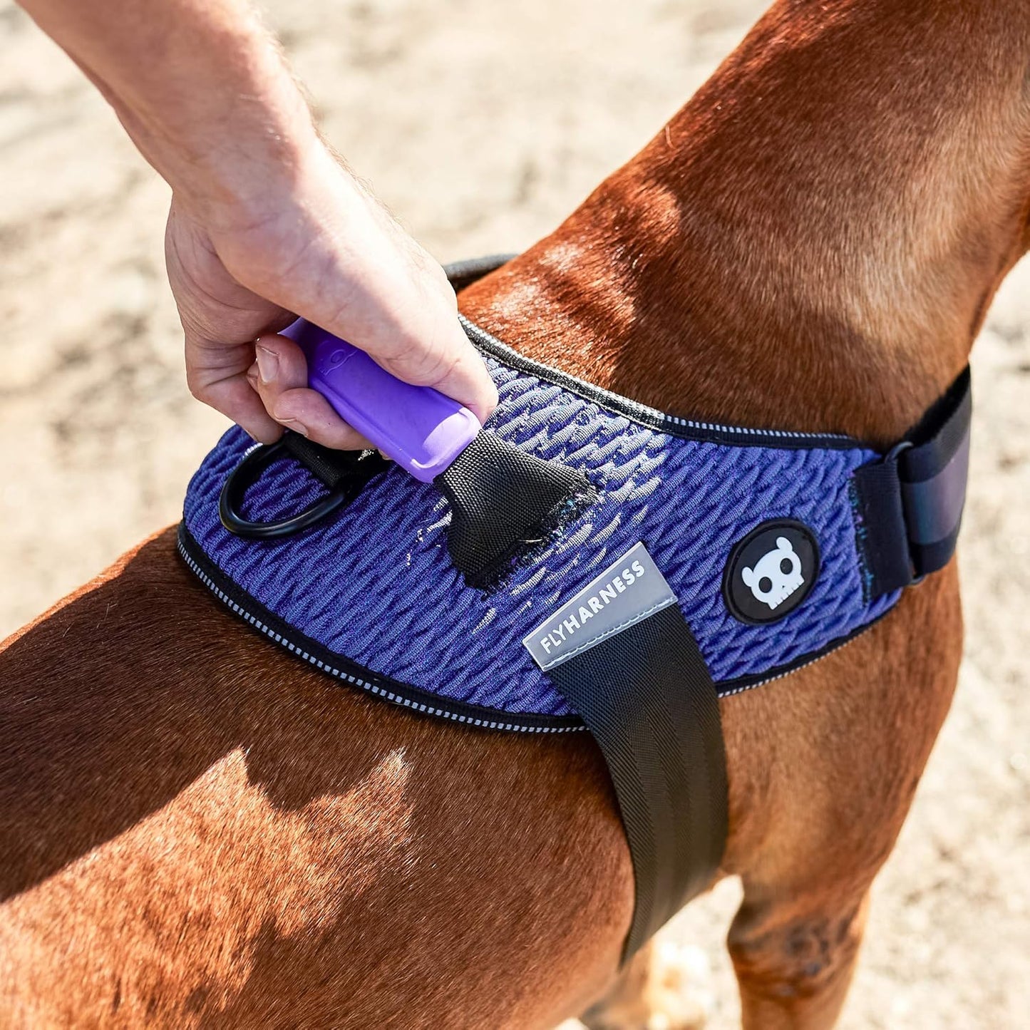 Zee dog Wicked Fly Harness For Dogs