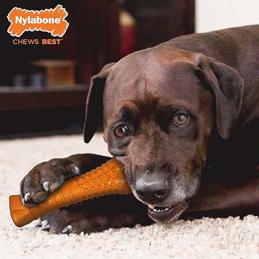 Nylabone Silver Collection Strong Beef Flavor Chew Bone Toy For Up To 23kg Dogs 19.50cm x 5.50cm x 3.50cm