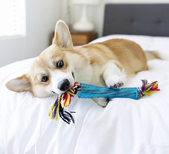 Petstages Orka Stick (Improves Dental Health) Dog Toy 30cm